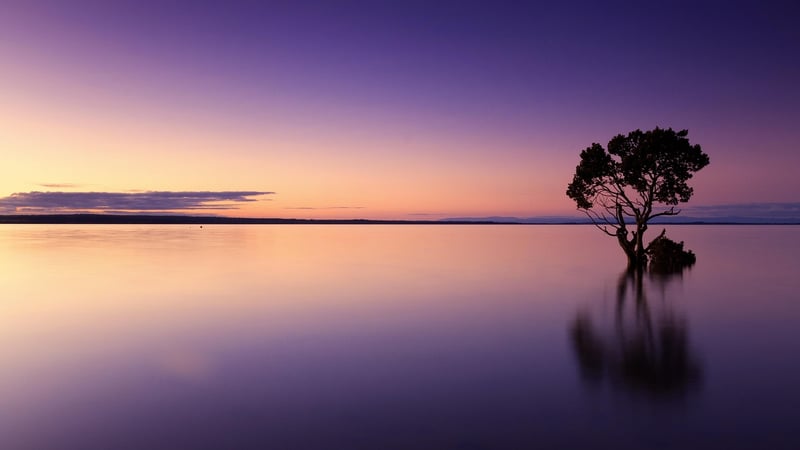 Sunset Image